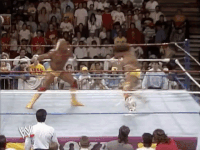 Royal Rumble Wrestling GIF by WWE