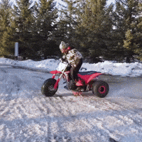 Cboys GIF