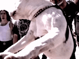 nuclear blast recordings GIF by Machine Head