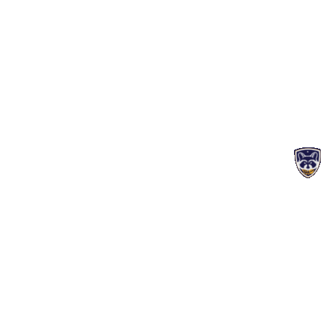 Sticker by Basquete Paraná - FPRB
