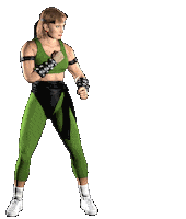 mortal combat fight STICKER