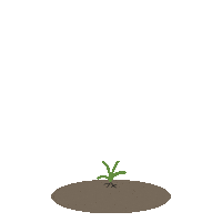 norgesbondelag wheat bonde norges bondelag bondelag Sticker