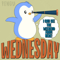 Look Looking GIF by Pudgy Penguins