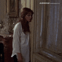 Sergio Martino Film GIF by Arrow Video