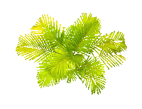 junglynyc nyc jungle lic thwipmedia Sticker