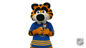 Hockey Toy GIF by NHL