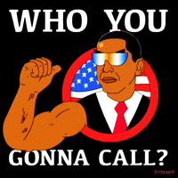 who you gonna call fox GIF by Animation Domination High-Def