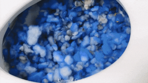 Fish Cooking GIF by UnusualCooking