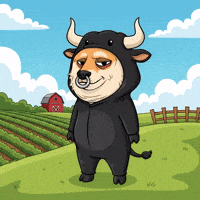 Standing Shiba Inu GIF by Doge Pound