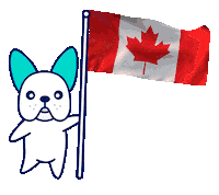 Canada Sticker by olive
