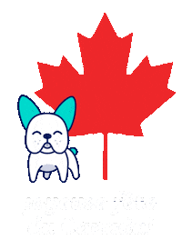 Canada Sticker by olive
