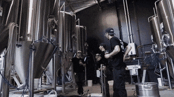 blackplaguebrewing craft beer beer cans beer pour black plague GIF