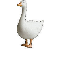 Vaalit Sticker by Pohjanmaan Kokoomus