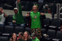 Dance Fan GIF