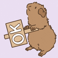 Licht Ok GIF