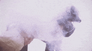 lana del rey freak GIF