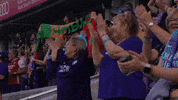 Womens Soccer Cheer GIF by National Women's Soccer League