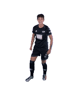 Celebrate Sticker by svhufussball