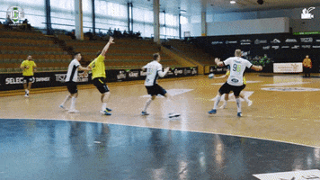 Celebrate Czech Republic GIF by HCB Karviná