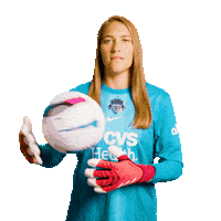 Go Team Sticker by Washington Spirit