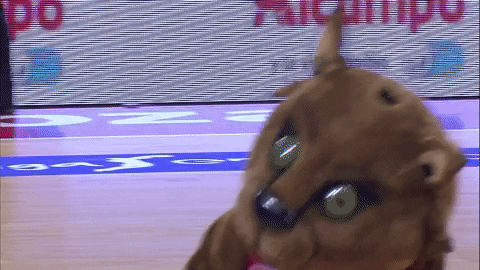 liga endesa dancing GIF by ACB