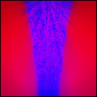 pink glow GIF by Erica Anderson