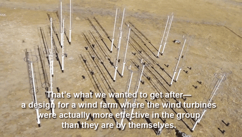 wind GIF