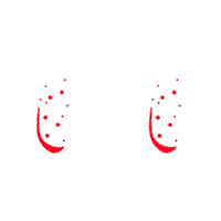 Zoomies Celebrate Sticker by Canadian Tire