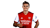 Celebrate London Sticker by Arsenal