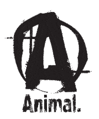 Universalnutrition fitness animal bodybuilding animalpak Sticker