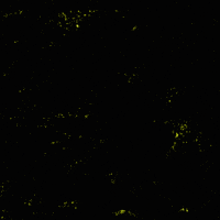 West Bank Peace GIF by INTO ACTION