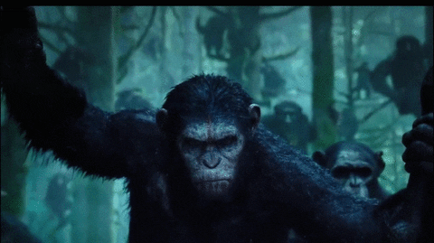 planet of the apes films GIF