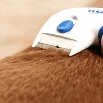 giphygifmaker GIF