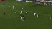 GIF by El Paso Locomotive FC