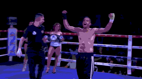 Princekhalid giphyupload winner boxer kickboxing GIF