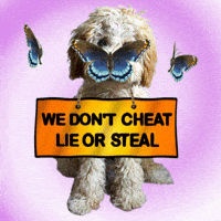 Puppy Liar GIF