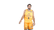 Liga Endesa Basketball Sticker by ACB