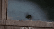Uk Film Movie GIF by AMP International