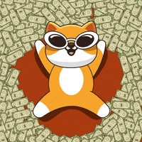 Money Crypto GIF by Baby Doge Coin