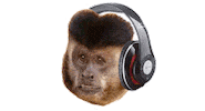 playlist Sticker by UFG