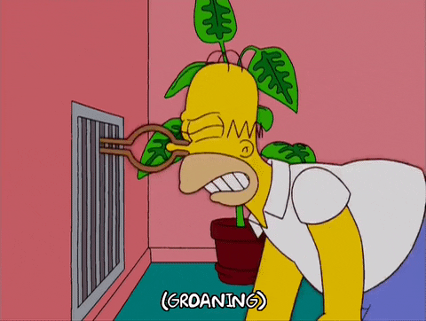 angry homer simpson GIF