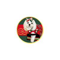 Dog Fashion Maltese Sticker by Pimp Yo Pets