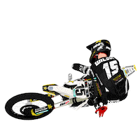 Wilson Sticker