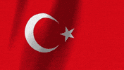 Turkish Flag GIF