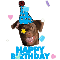 Happy Birthday Party Sticker by Tim Poulton