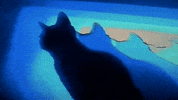 Glitching Video Art GIF by vektormon