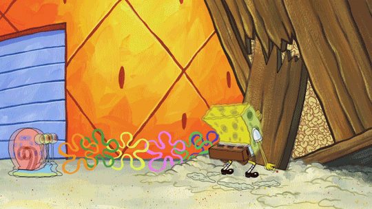 GIF by SpongeBob SquarePants