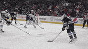 Ice Hockey Hug GIF by Columbus Blue Jackets