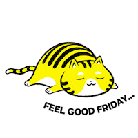 Sleepy Cat Sticker by NowThis