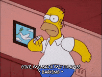homer simpson GIF